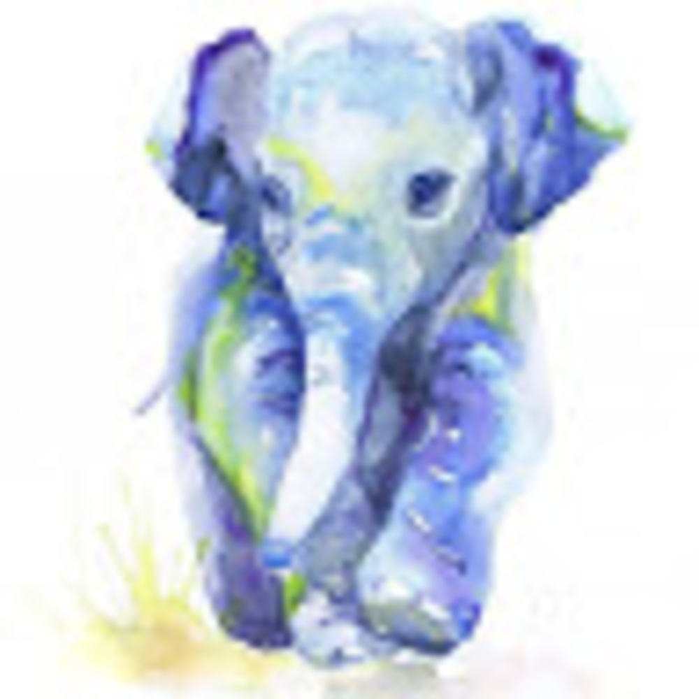 Meet your Posher, Liz